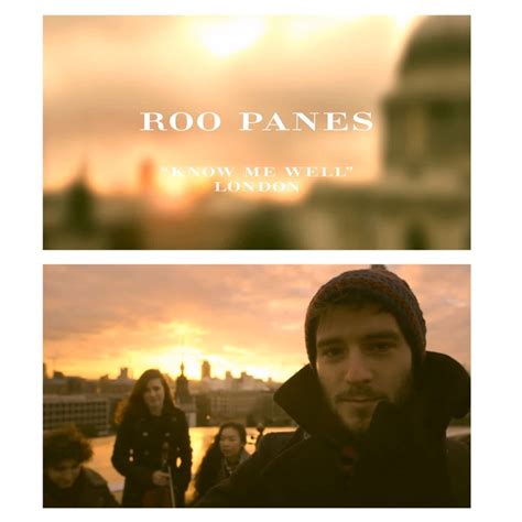 burberry acoustic roo panes|roo panes albums.